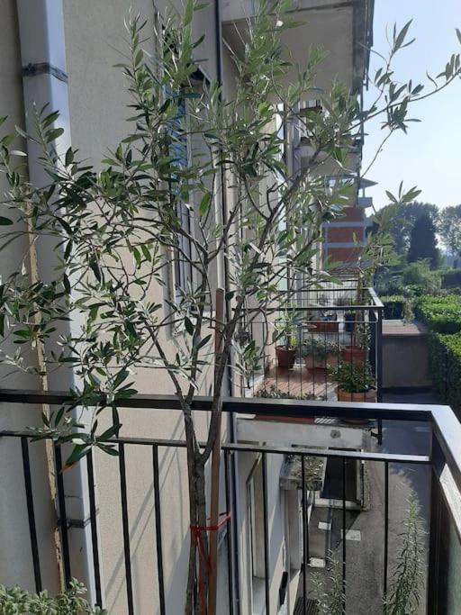 Mice Ottima Soluzione Per Il Centro E La Svizzera Apartment Como Exterior photo